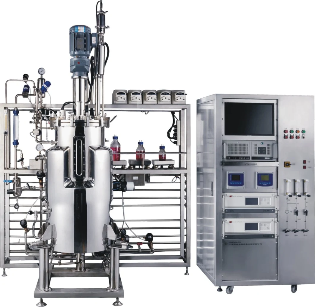 Biological Fermentation Laboratory System Multi-Stage Independent Sterilization 304 Stainless Steel Fermenter Equipment China